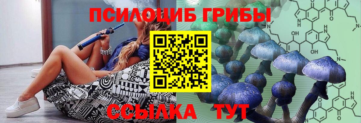 Псилоцибиновые грибы мицелий Советская Гавань