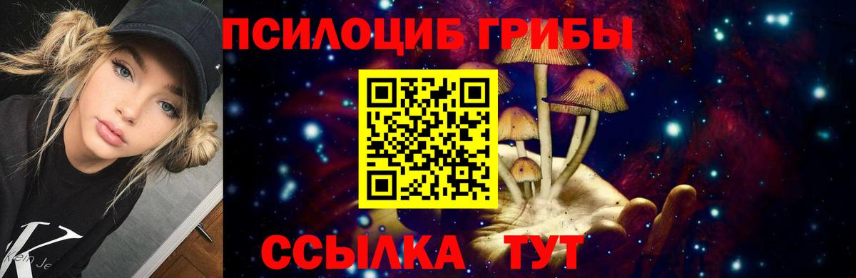 Советская Гавань  Галлюциногенные грибы мицелий  Вход с VPN 